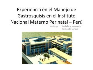 Experiencia en el Manejo de Gastrosquisis en el Instituto Nacional Materno Perinatal – Perú