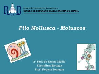 Filo Mollusca - Moluscos