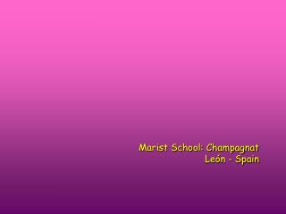 Marist School: Champagnat León - Spain