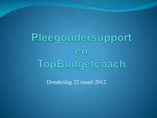 Pleegoudersupport en TopBudgetcoach