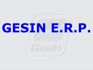 GESIN E.R.P.