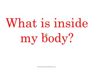 What is inside my body ?