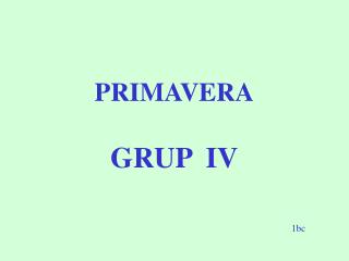 PRIMAVERA GRUP IV