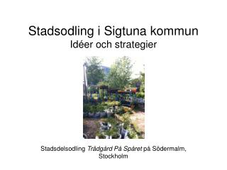 Stadsodling i Sigtuna kommun Idéer och strategier