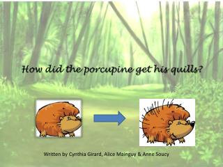 How did the porcupine get his quills?