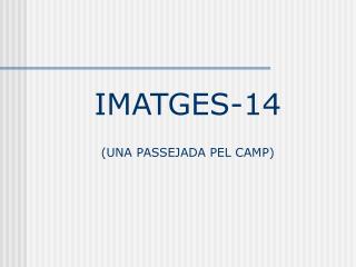 IMATGES-14 (UNA PASSEJADA PEL CAMP)