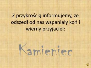 Z przykrością informujemy, że odszedł od nas wspaniały koń i wierny przyjaciel: