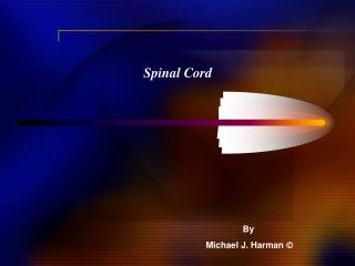 Spinal Cord