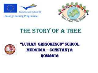 “LUCIAN GRIGORESCU” SCHOOL MEDGIDIA – CONSTANŢA ROMANIA