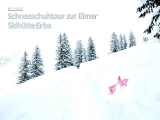 28.1.2012 Schneeschuhtour zur Elmer Skihütte E rbs