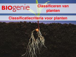 Classificeren van planten