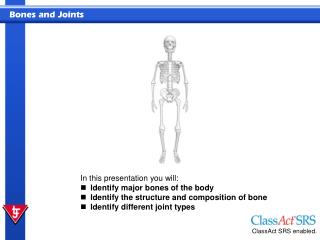 In this presentation you will: Identify major bones of the body