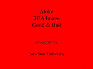 Aloka REA Image Good &amp; Bad