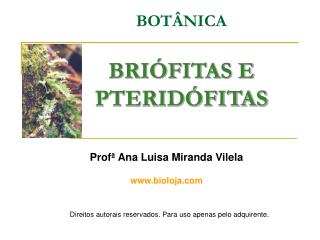 BOTÂNICA BRIÓFITAS E PTERIDÓFITAS