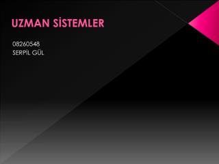 UZMAN SİSTEMLER