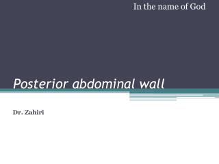 Posterior abdominal wall