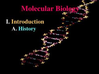 Molecular Biology