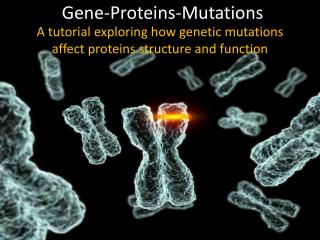 Gene-Proteins-Mutations