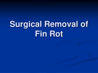 Surgical Removal of Fin Rot