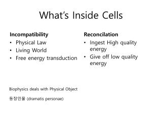 What’s Inside Cells