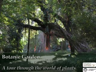 Botanic Garden A tour through the world of plants
