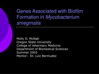 Genes Associated with Biofilm Formation in Mycobacterium smegmatis