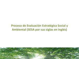 Proceso de Evaluación Estratégica Social y A mbiental (SESA por sus siglas en inglés)