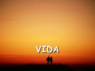 VIDA