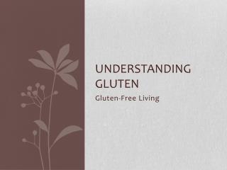 Understanding Gluten