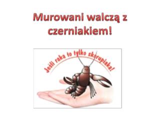 Murowani walczą z czerniakiem !