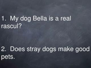 1. My dog Bella is a real rascul? 2. Does stray dogs make good pets.