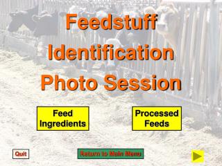 Feedstuff Identification Photo Session
