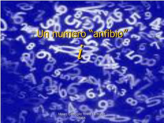 Un numero “anfibio”