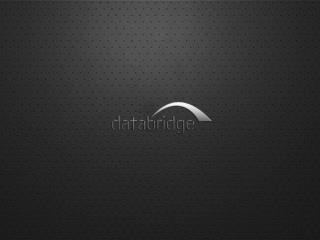 databridge.it – oneway@databridge.it t elefono 02 6111331