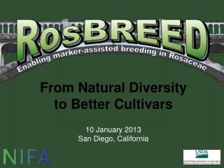 From Natural Diversity to Better Cultivars 10 January 2013 San Diego, California