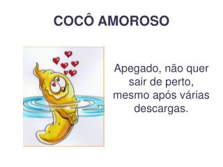 COCÔ AMOROSO