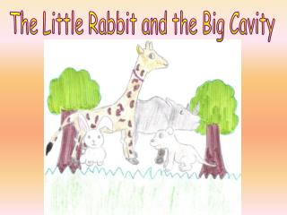 The Little Rabbit and the Big Cavity