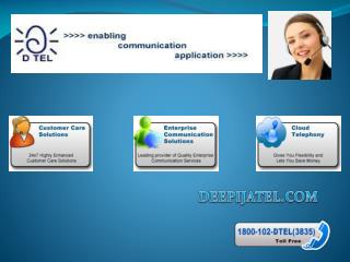 •	Interactive Voice Response(IVR) Software Services