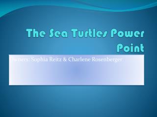 The Sea Turtles Power Point