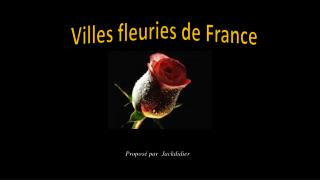 Villes fleuries de France