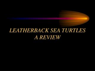 LEATHERBACK SEA TURTLES A REVIEW