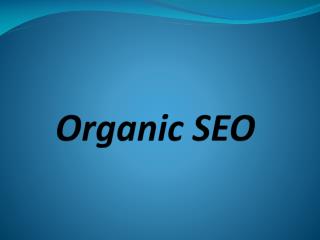 Organic SEO