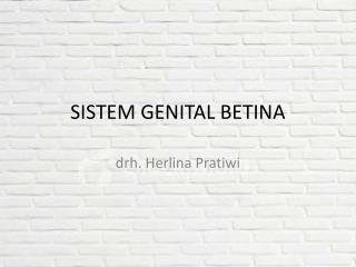 SISTEM GENITAL BETINA