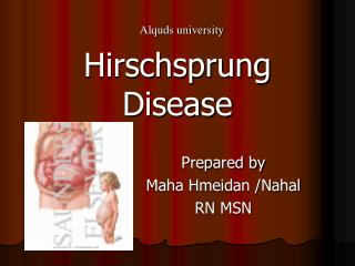 Hirschsprung Disease