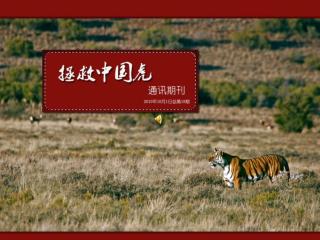 刊首语 2010 年，虎年！ 2010 年，拯救中国虎国际基金会创建十周年！ 这是喜庆的一年！ 也是成就的一年！ 《 华南虎日志 》 记录了十年野化的艰辛历程！