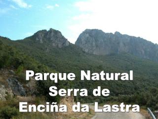 Parque Natural Serra de Enciña da Lastra