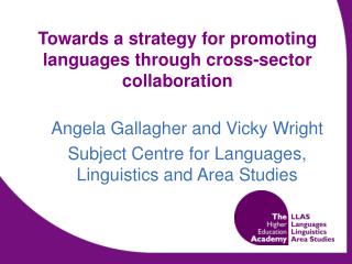 Towards a strategy for promoting languages through cross-sector collaboration