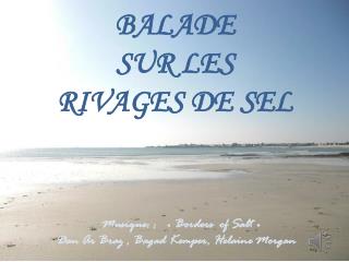 BALADE SUR LES RIVAGES DE SEL