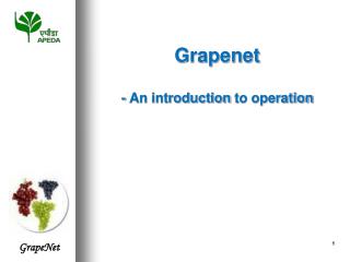 Grapenet - An introduction to operation