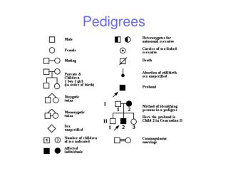 Pedigrees